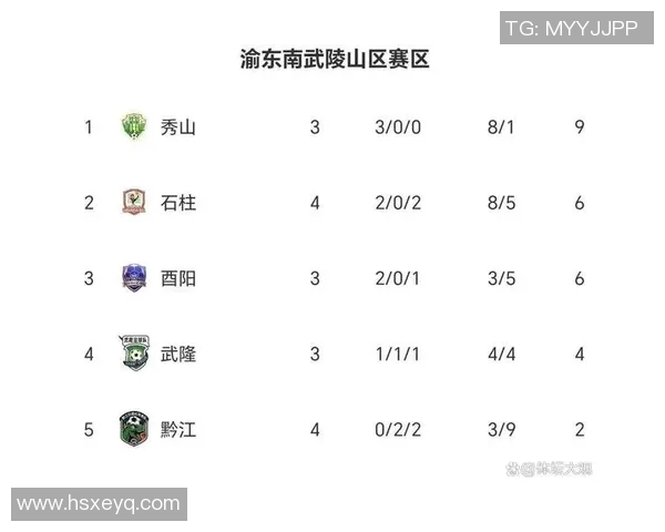 重庆羽毛球队在城市联赛积分榜上以60分稳居第一名展现强劲实力